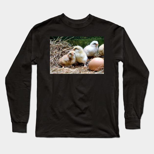 Chick life - chicks and egg Long Sleeve T-Shirt by WesternExposure